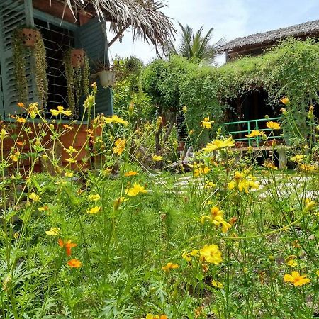 Bach Cuc Homestay Лонгхай Екстер'єр фото
