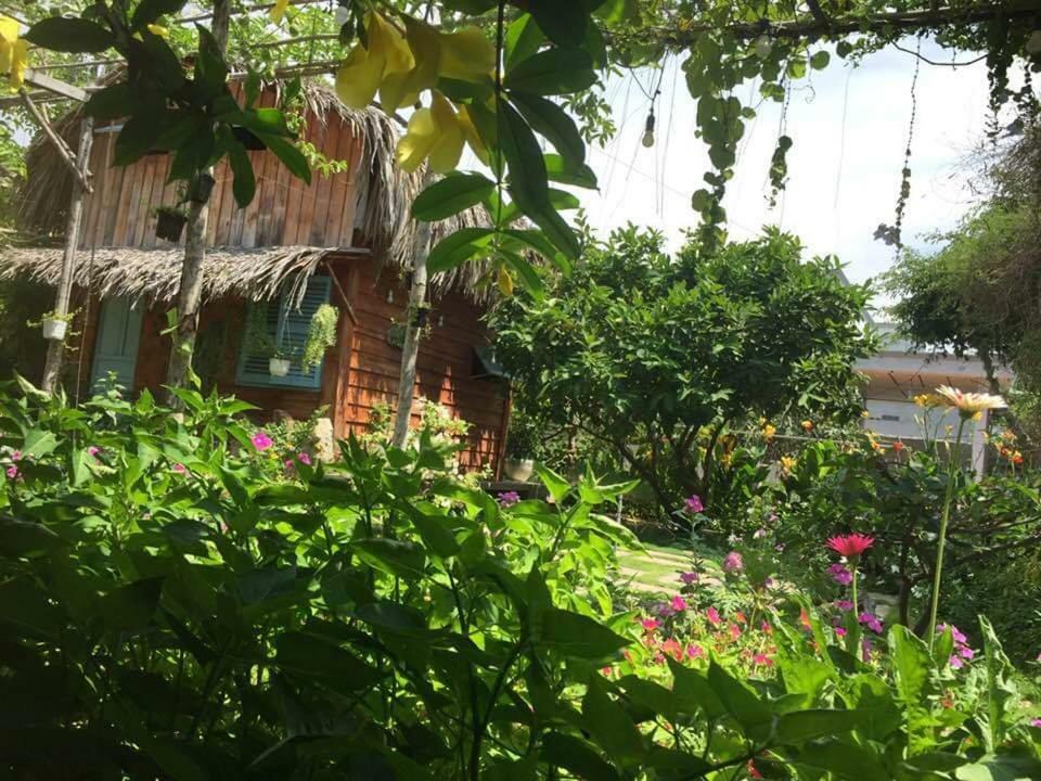 Bach Cuc Homestay Лонгхай Екстер'єр фото