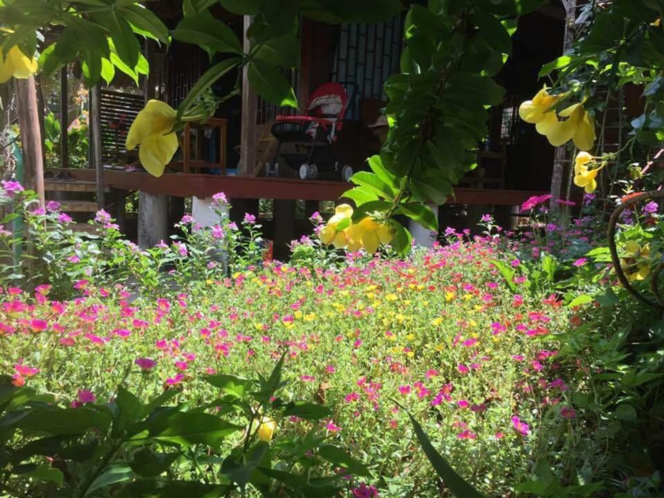 Bach Cuc Homestay Лонгхай Екстер'єр фото